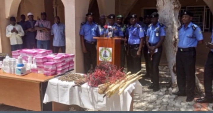 Zamfara Police Arrest Civil Defense Officer, Fake Doctor, and Bandits’ Wives in Major Crackdown